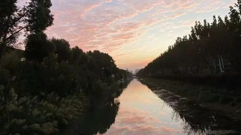 成都代办营业执照加急服务，费用构成与选择要点