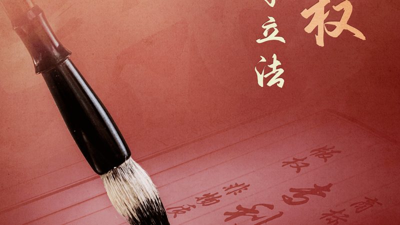 广州外资公司注册法人要求解析：合规与实操要点